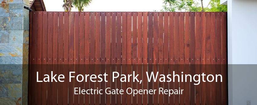 Lake Forest Park, Washington Electric Gate Opener Repair