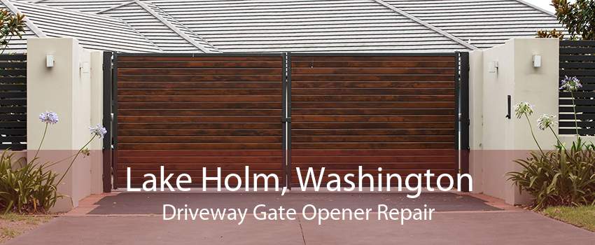 Lake Holm, Washington Driveway Gate Opener Repair