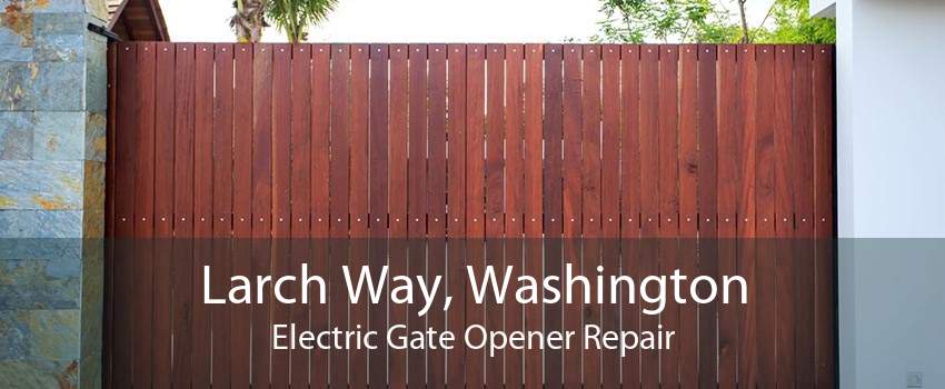 Larch Way, Washington Electric Gate Opener Repair