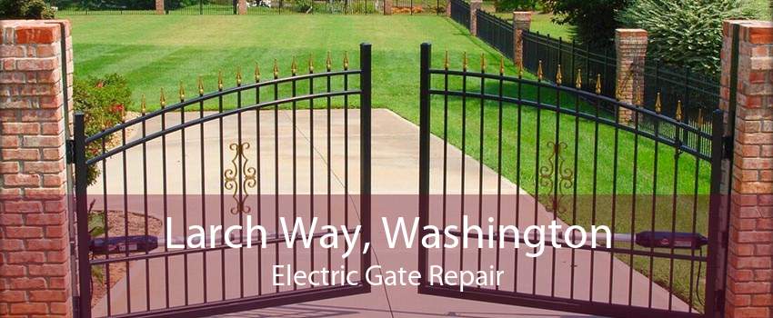 Larch Way, Washington Electric Gate Repair