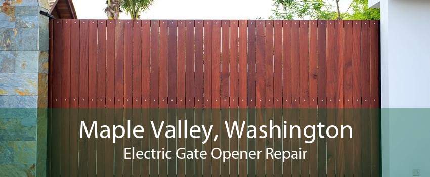 Maple Valley, Washington Electric Gate Opener Repair