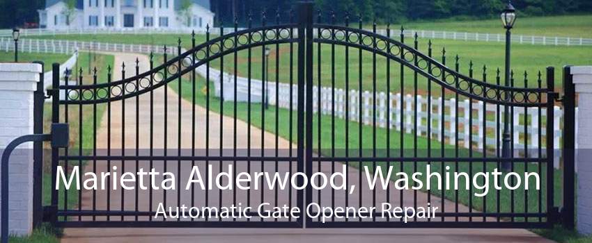 Marietta Alderwood, Washington Automatic Gate Opener Repair
