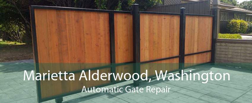 Marietta Alderwood, Washington Automatic Gate Repair