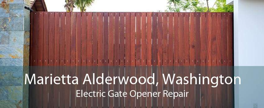 Marietta Alderwood, Washington Electric Gate Opener Repair