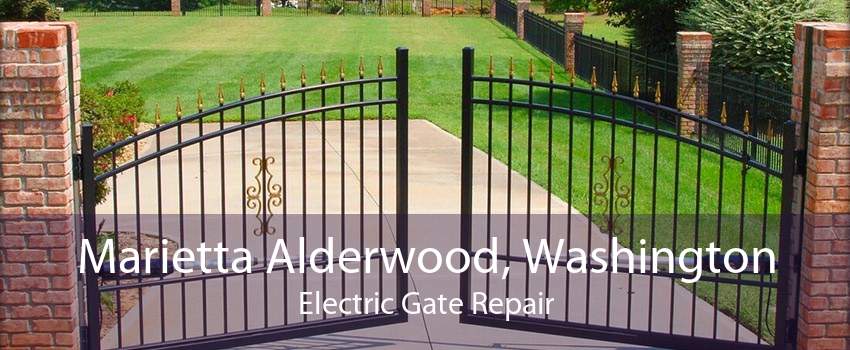 Marietta Alderwood, Washington Electric Gate Repair