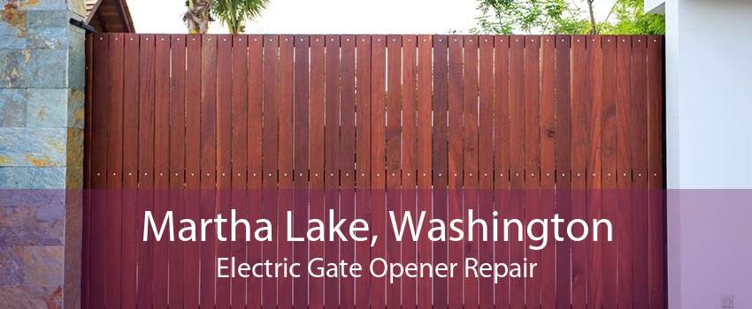 Martha Lake, Washington Electric Gate Opener Repair