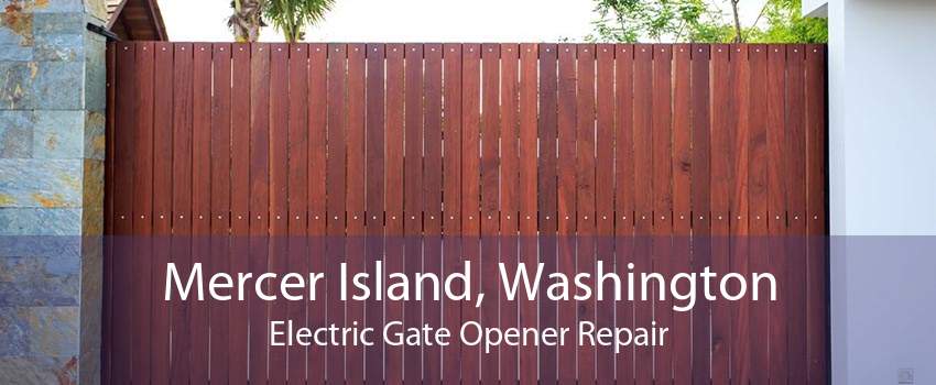 Mercer Island, Washington Electric Gate Opener Repair