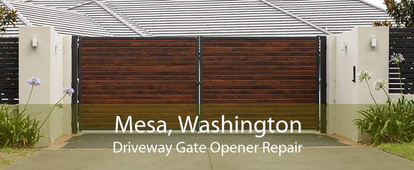 Mesa, Washington Driveway Gate Opener Repair