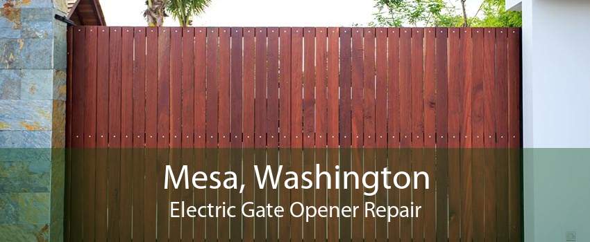 Mesa, Washington Electric Gate Opener Repair