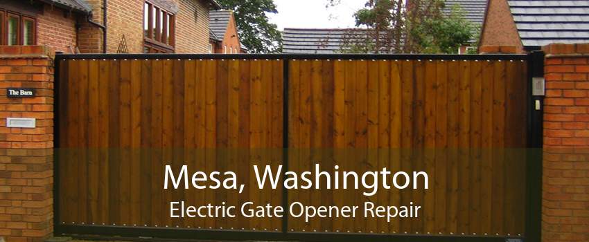 Mesa, Washington Electric Gate Opener Repair