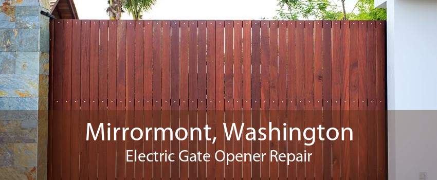 Mirrormont, Washington Electric Gate Opener Repair