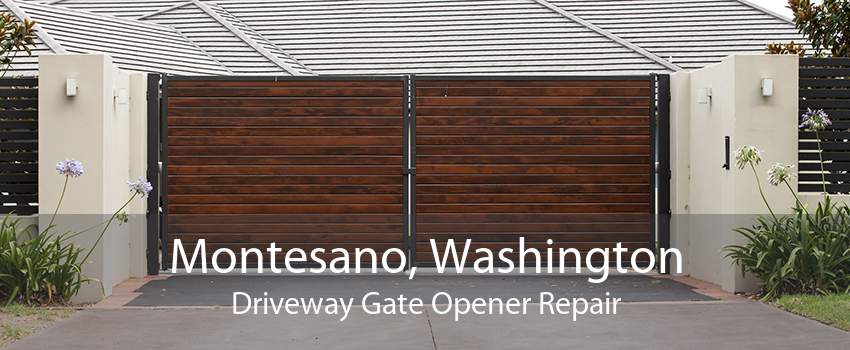 Montesano, Washington Driveway Gate Opener Repair