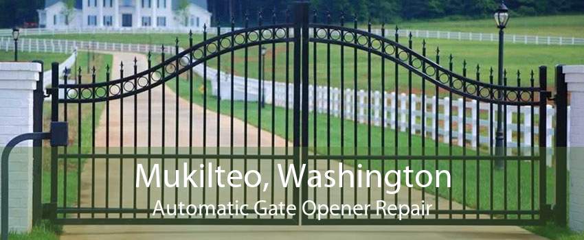 Mukilteo, Washington Automatic Gate Opener Repair