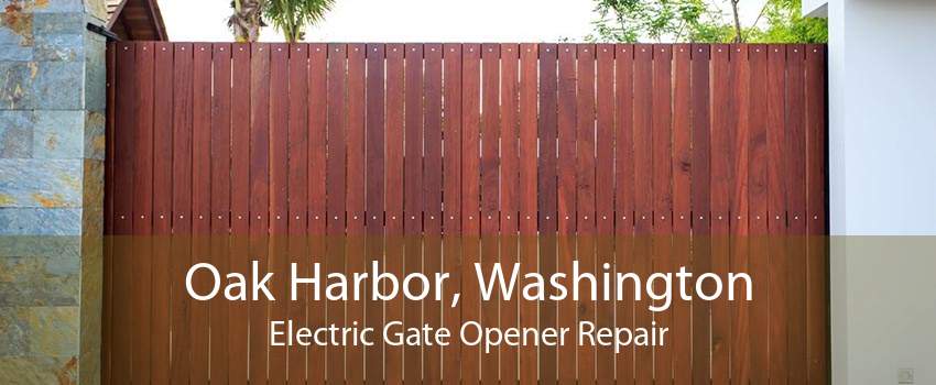 Oak Harbor, Washington Electric Gate Opener Repair