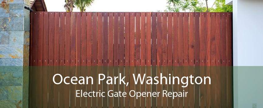 Ocean Park, Washington Electric Gate Opener Repair