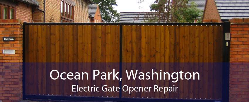 Ocean Park, Washington Electric Gate Opener Repair