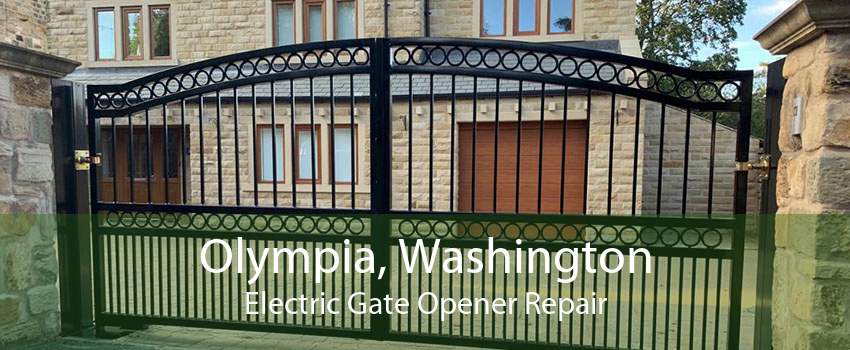Olympia, Washington Electric Gate Opener Repair