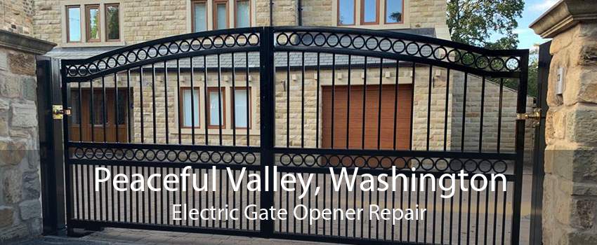 Peaceful Valley, Washington Electric Gate Opener Repair