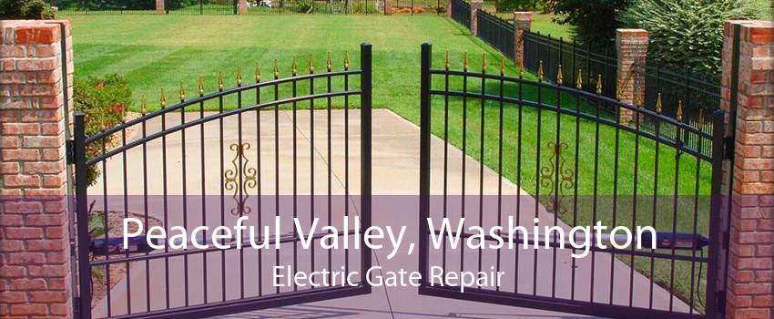 Peaceful Valley, Washington Electric Gate Repair