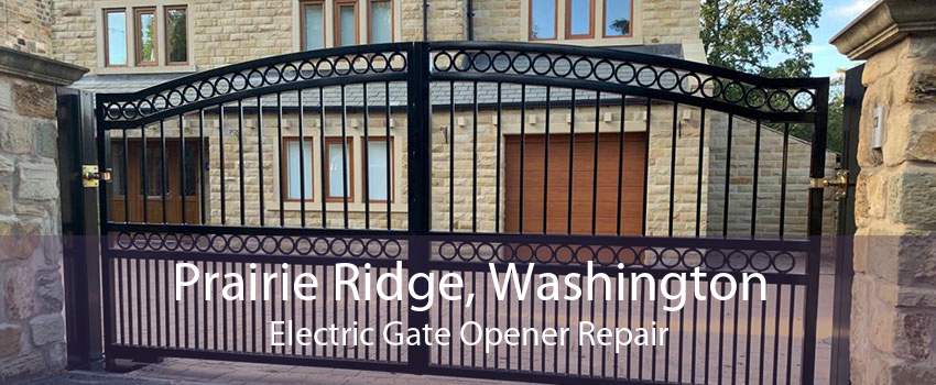 Prairie Ridge, Washington Electric Gate Opener Repair