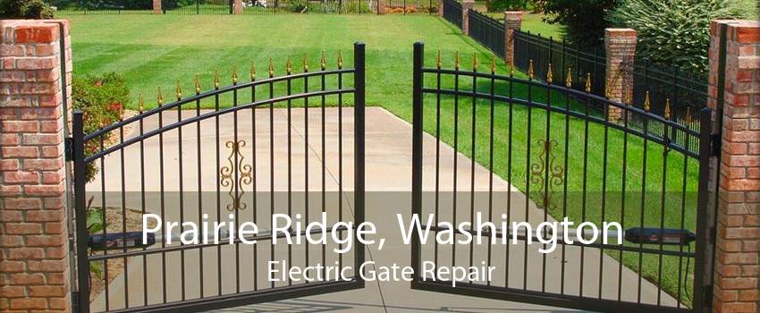 Prairie Ridge, Washington Electric Gate Repair
