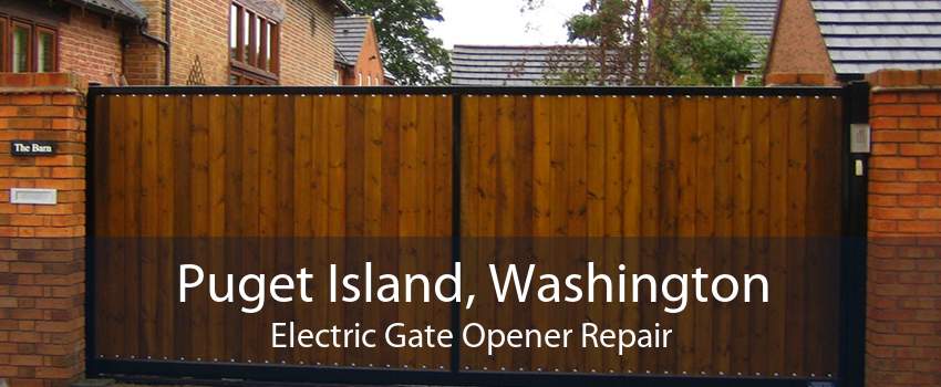 Puget Island, Washington Electric Gate Opener Repair