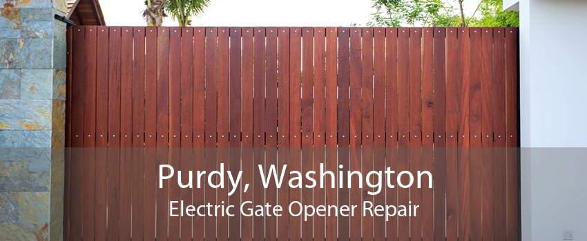 Purdy, Washington Electric Gate Opener Repair