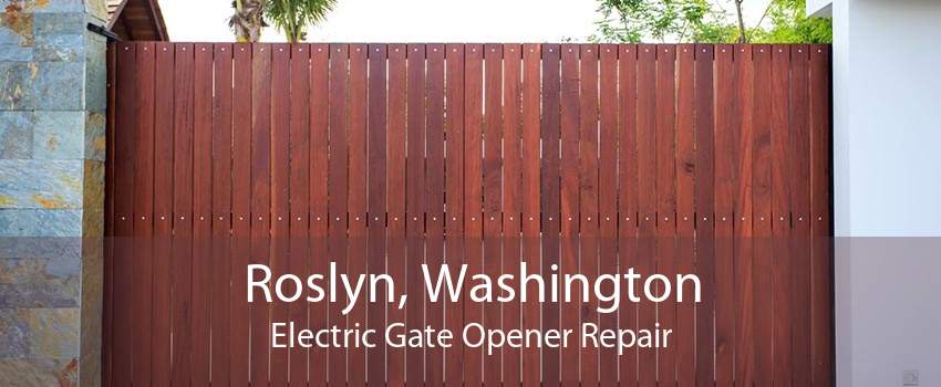 Roslyn, Washington Electric Gate Opener Repair