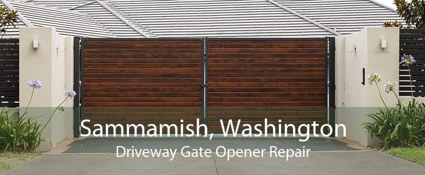 Sammamish, Washington Driveway Gate Opener Repair