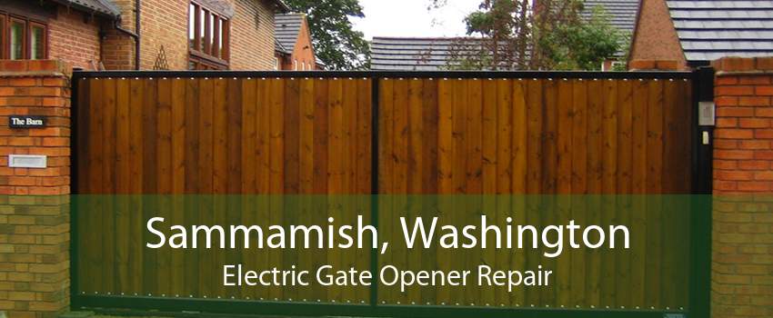 Sammamish, Washington Electric Gate Opener Repair