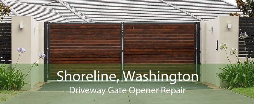 Shoreline, Washington Driveway Gate Opener Repair