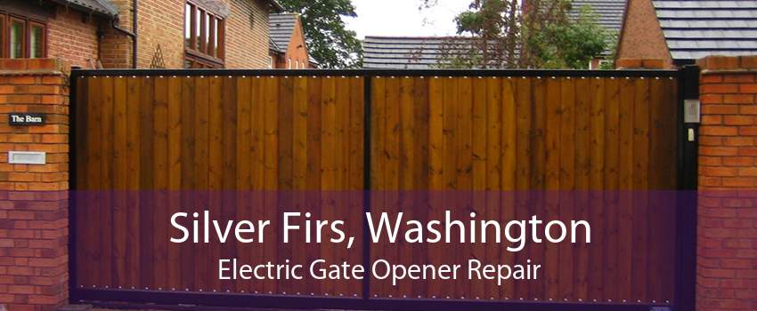 Silver Firs, Washington Electric Gate Opener Repair