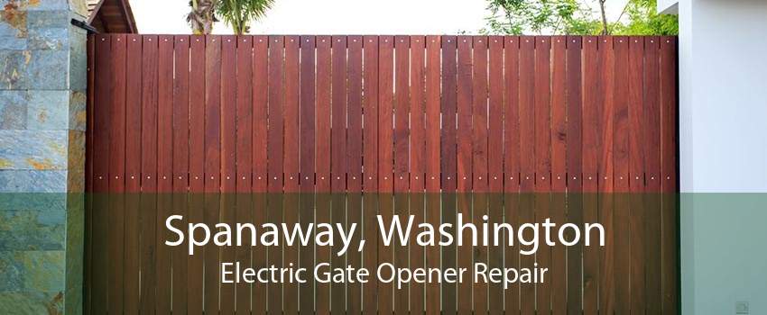 Spanaway, Washington Electric Gate Opener Repair