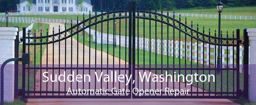Sudden Valley, Washington Automatic Gate Opener Repair