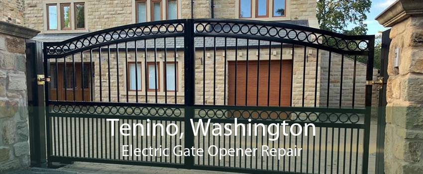 Tenino, Washington Electric Gate Opener Repair