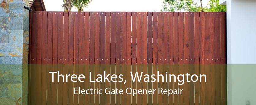 Three Lakes, Washington Electric Gate Opener Repair