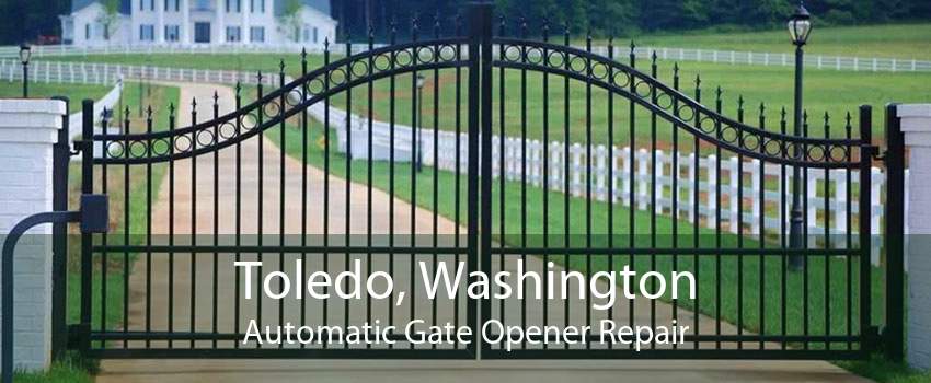 Toledo, Washington Automatic Gate Opener Repair