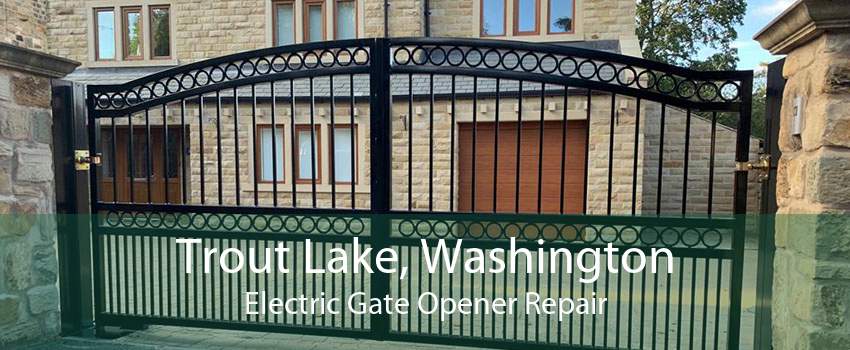 Trout Lake, Washington Electric Gate Opener Repair