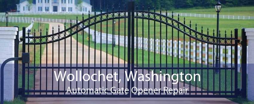 Wollochet, Washington Automatic Gate Opener Repair
